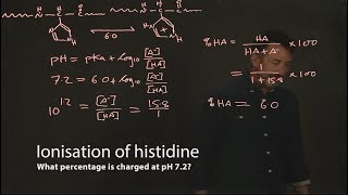 Ionisation of histidine [upl. by Wawro]