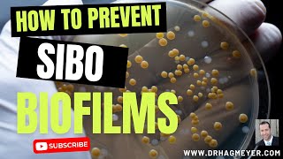 SIBO and Biofilms Why Biofilm Disruptors Are So Important When You Have SIBO [upl. by Amersham667]