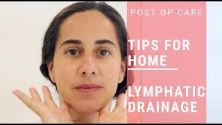 Lymphatic Drainage of the Abdomen Dr Adel Bondok [upl. by Leban]