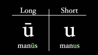 The Latin Alphabet  Vowel Pronunciation [upl. by Ahsiuqal889]