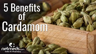 5 Marvellous Benefits Of ElaichiCardamom  How To Make Cardamom Tea [upl. by Stiles]