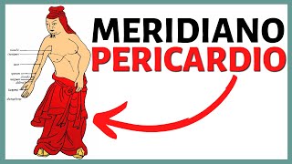 🔥 MERIDIANO PERICARDIO 🔥 Recorrido Función y MÁS  ☯ 12 Meridianos de Acupuntura ☯ [upl. by Ativel45]