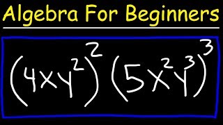 Algebra For Beginners  Basic Introduction [upl. by Aserej511]