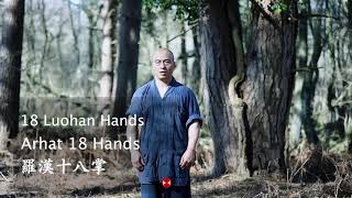 Shaolin 18 Louhan Hands  Arhat 18 Hands  Kung Fu 18 Palms  Shaolin Kung Fu  少林罗汉18掌 [upl. by Luahs]