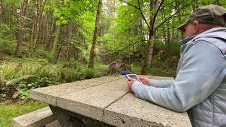 Calling Barred Owls [upl. by Itnavart]