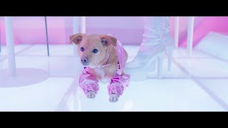 Ariana Grande  thank u next the fragrance [upl. by Hsina]