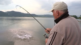 Pecanje šarana i babuške na Dunavu  Dubinsko pecanje šarana 3  Fishing carp in river 2 [upl. by Ayrolg]