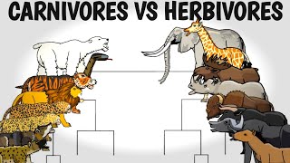 CARNIVORES VS HERBIVORES TOURNAMENT  ANIMATION [upl. by Saffier]