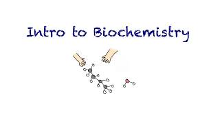 Introduction to Biochemistry [upl. by Ahseinat232]