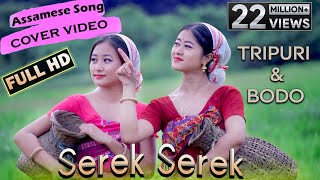 Assamese Dance Cover  Tripuri amp Bodo  Performance byHana amp Manorama FHD 2020 [upl. by Ydniw565]