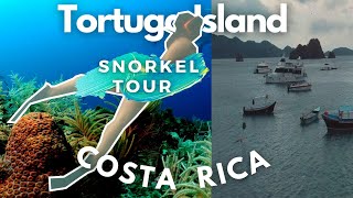 Snorkeling at Tortuga Island Costa Rica Zuma Tours 2021 [upl. by Hairahcez639]