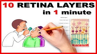 Retinal Layers in 1 minute  Mnemonic series  13 [upl. by Atirac]