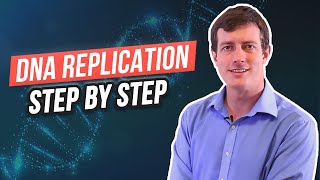 6 Steps of DNA Replication [upl. by Aisorbma]