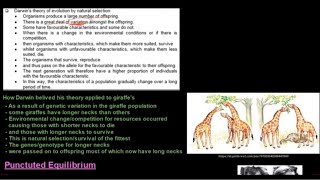 Grade 12 Life Sciences Evolution Part 2 [upl. by Pepe341]