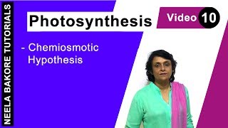 Photosynthesis  NEET  Chemiosmotic Hypothesis  Neela Bakore Tutorials [upl. by Geneva]