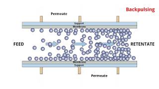 POREX® TMF  Cross flow filtration process [upl. by Ardnak]