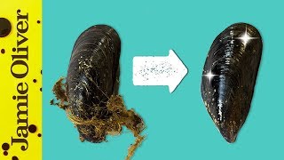 How To Prepare Mussels  1 Minute Tips  Bart’s Fish Tales [upl. by Vikki915]