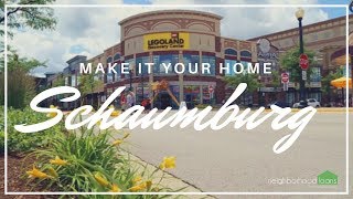 Neighborhood Facts  Schaumburg Illinois [upl. by Neih626]