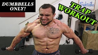 Intense 5 Minute Dumbbell Trap Workout 2 [upl. by Narba601]