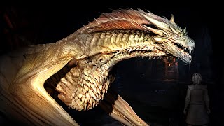 10 TYPES OF DRAGONS You Didnt Know About [upl. by Adnwahsar]