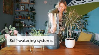 4 DIY SelfWatering Systems  Water Plants While Away [upl. by Selmore]