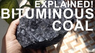 How coal is formed  Practically demonstration [upl. by Orva]