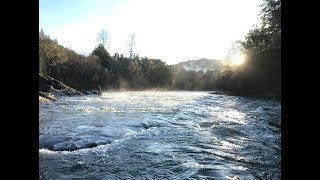 Winter Steelhead Fishing the Coos Coquille and Tenmile District [upl. by Marcelle]