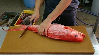 Watch Cool Fish Filleting Compilation Skills [upl. by Sivrad]