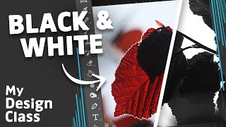 How to Create A BLACK amp WHITE Image in Photoshop [upl. by Sig854]