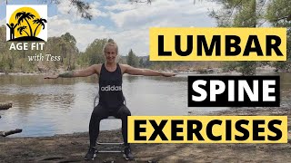 Lumbar Spondylosis Exercises [upl. by Sheeran163]