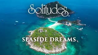 Dan Gibson’s Solitudes  Introspection  Seaside Dreams [upl. by Nylahsoj]