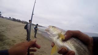 Slay Day Dana Point Surf Fishing [upl. by Adnot]