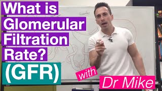 Glomerular Filtration Rate GFR  Renal System [upl. by Tony]