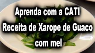 SAA  Receita Xarope de Guaco com mel [upl. by Eiuol]