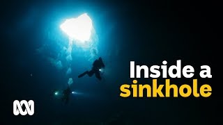 Worldclass sinkholes attract divers to South Australian farms 🕳️  Wild Rides Ep 4  ABC Australia [upl. by Elletsyrk]