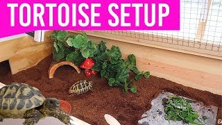 NEW Setting Up My Tortoise Enclosure  DIY Tortoise Table House [upl. by Garland]