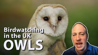 Birdwatching in the UK Owls  All native species and how to identify them [upl. by Aline16]