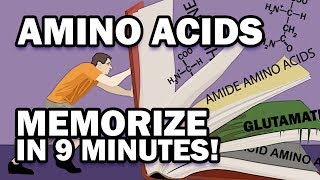 Memorize the 20 Amino Acids in 9 Minutes [upl. by Yeldah]