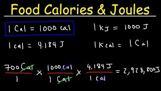 Joules Food Calories amp Kilojoules  Unit Conversion With Heat Energy  Physics Problems [upl. by Tennies964]