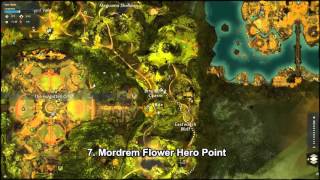 GW2 Auric Basin Hero Points Guide [upl. by Lustick713]