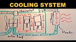 Radiators  Explained [upl. by Kroy]