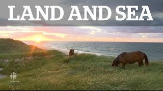 Land amp Sea Sable Island [upl. by Nitsrik]