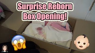 SURPRISE Reborn Baby Box Opening  Kelli Maple [upl. by Clevie619]