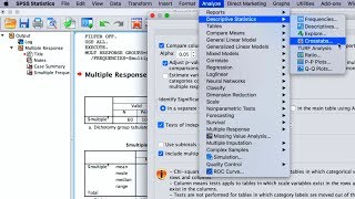 SPSS How To Perform Quantitative Data Analyses For Bachelors Research 5 Basic Analysis Methods [upl. by Anaer]