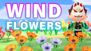 How to BREED Every WINDFLOWER Hybrid  Guide ► Animal Crossing New Horizons [upl. by Ringe]