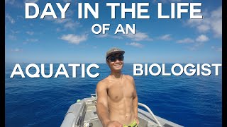 Day in the Life of An Aquatic Biologist UCSB [upl. by Adan]