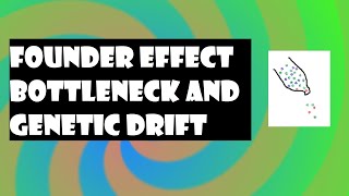 Genetic Drift  Founder Effect amp Bottleneck Effect [upl. by Immij]