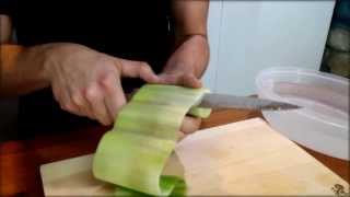 Cucumber Sushi Roll Recipe  Japanese Food Recipe [upl. by Atiuqrahs708]