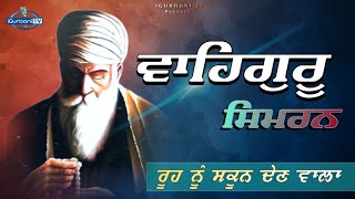 The Very Best Waheguru Naam Simran Abheyas [upl. by Esnohpla]