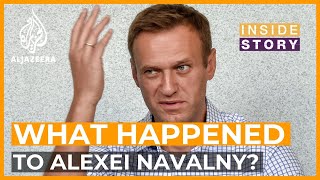 Kremlin critic Alexei Navalny arrested on return to Russia after nerve agent poisoning  BBC News [upl. by Hareema791]